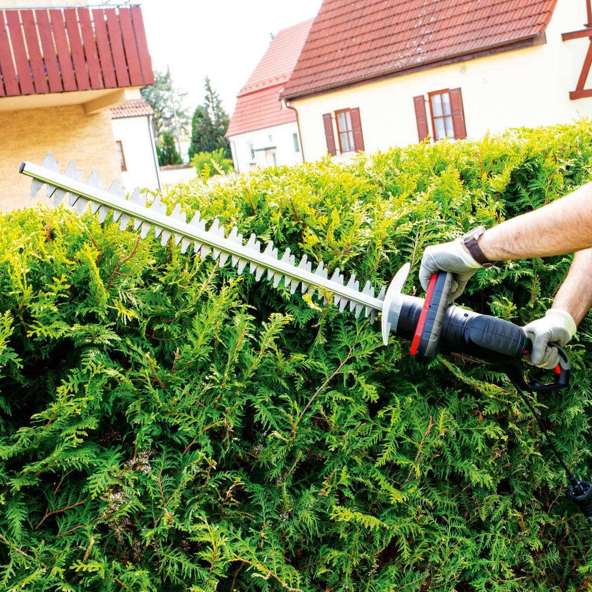 Hecke, Pflanze, Gras, Handschuh, Garten