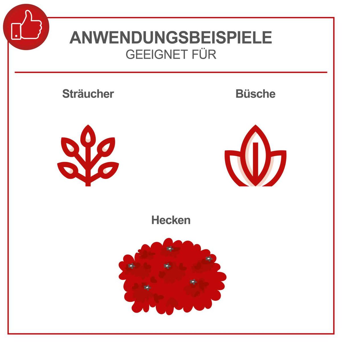 Anwendungsbeispiele für die Heckenschere HT600: Geeignet für Sträucher, Büsche und Hecken. Die Heckenschere ist vielseitig einsetzbar und ideal für die Pflege von Gärten und Grünflächen.