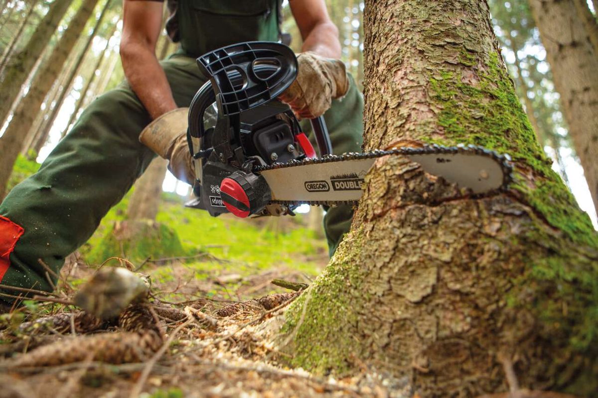 Scheppach Kettensäge CSP41 im Einsatz, schneidet einen Baumstamm. Die Säge ist in Aktion gezeigt, wobei die Kette den Baumstamm durchtrennt.