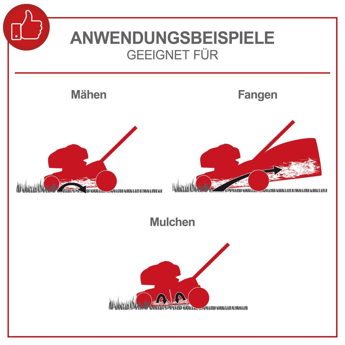 Der Benzin Rasenmäher MS150-42 von Scheppach eignet sich zum Mähen, Fangen und Mulchen. Er hat eine Schnittbreite von 42 cm und einen Radantrieb. Die Fangbox fasst 45 Liter.