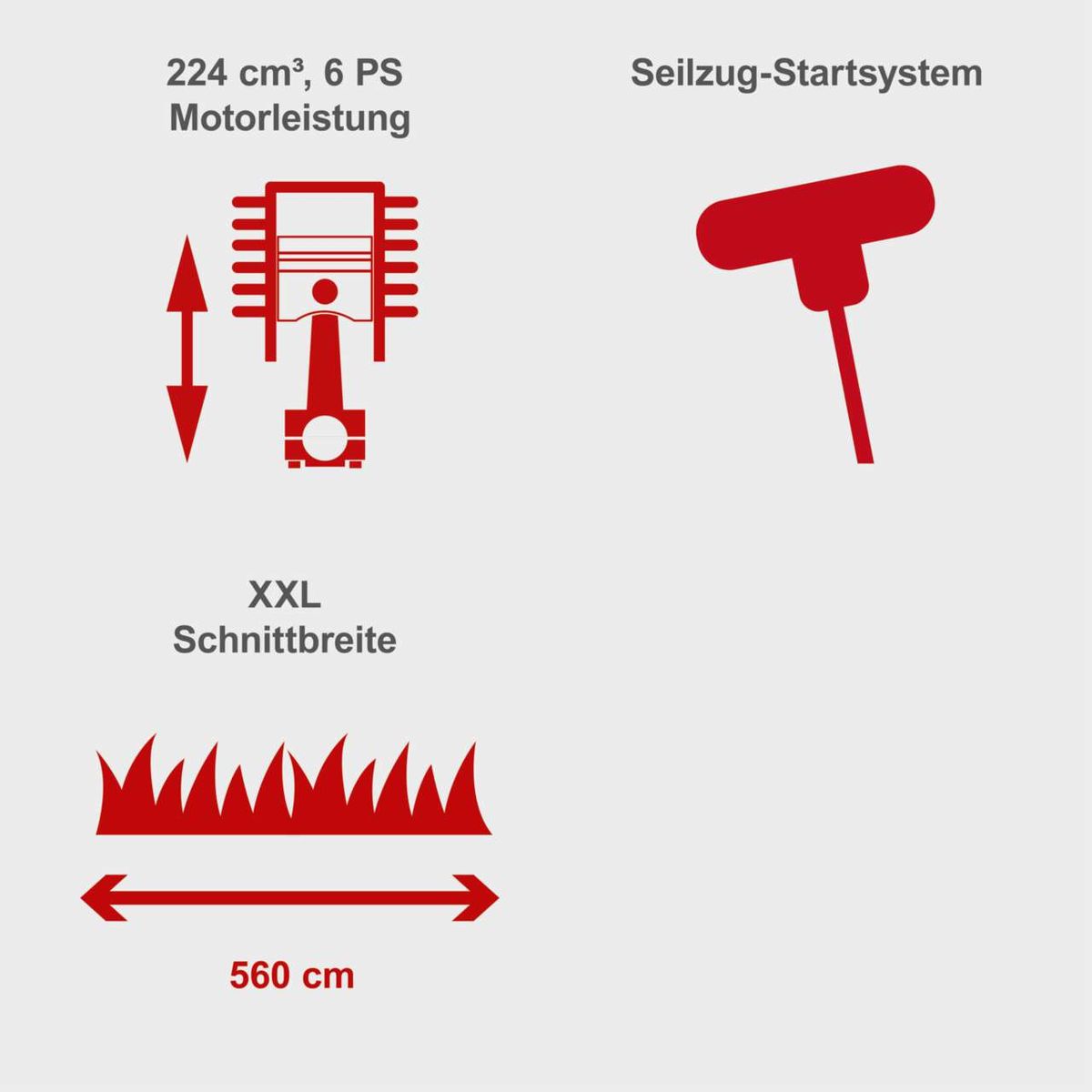 Der Benzin-Rasenmäher MS225-56 von Scheppach hat eine Motorleistung von 224 cm³ und 6 PS. Er verfügt über ein Seilzug-Startsystem und eine Schnittbreite von 560 cm. Die XXL Schnittbreite ermöglicht effizientes Mähen.