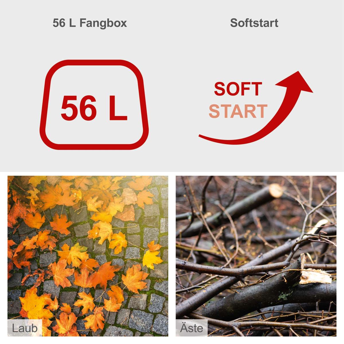 Der Elektro Gartenhäcksler GS70 Scheppach hat eine 56 Liter Fangbox und einen Softstart. Er kann Äste mit einer maximalen Stärke von 42 mm und Laub verarbeiten.