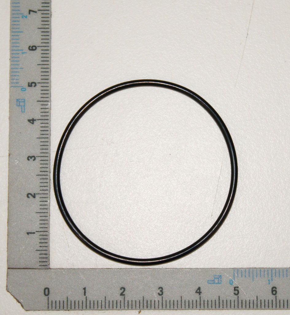 O-Ring für Pumpe mit Durchmesser 46,2 mm, Maßstab für Größenvergleich