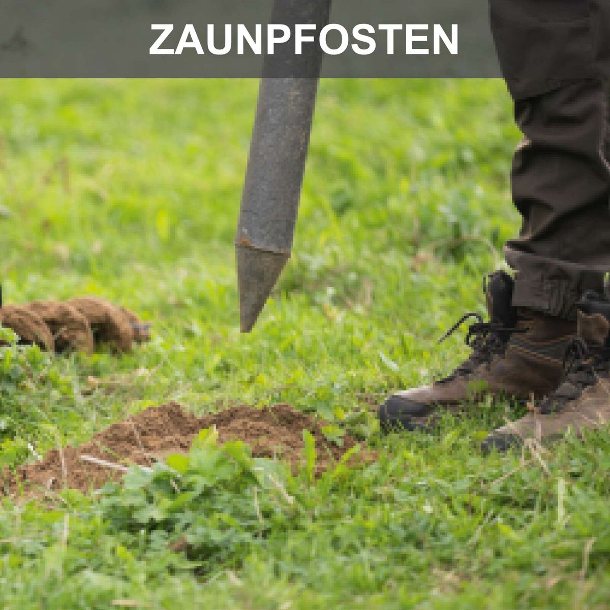 Der Zaunpfosten ist ein wichtiger Bestandteil des Erdbohrers EB2000 von Scheppach. Er sorgt für Stabilität und Halt beim Bohren von Löchern im Boden. Der Bohrer ist ideal für tiefe Bohrungen und bietet eine hohe Leistung.