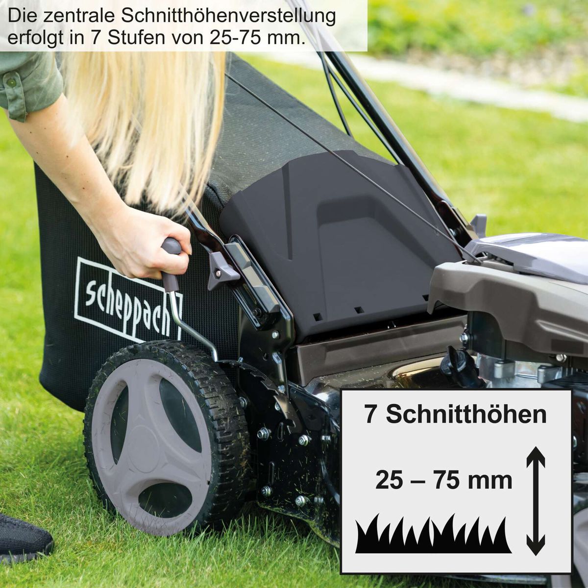 Der Benzin-Rasenmäher MS-173-51B von Scheppach bietet eine zentrale Schnitthöhenverstellung in 7 Stufen von 25-75 mm.