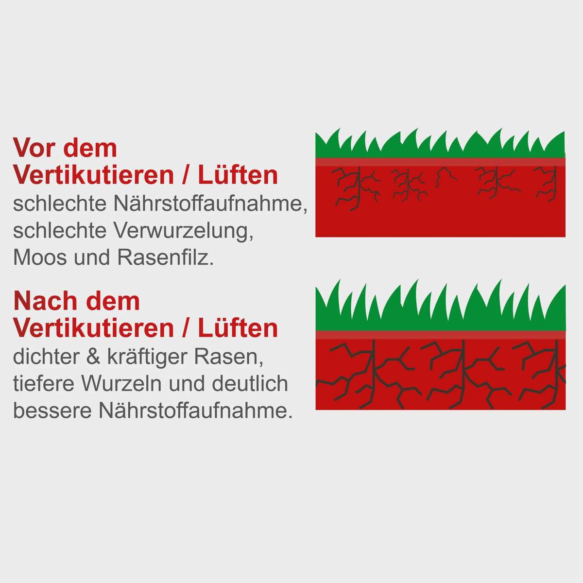 Vor dem Vertikutieren / Lüften: schlechte Nährstoffaufnahme, schlechte Verwurzelung, Moos und Rasenfilz. Nach dem Vertikutieren / Lüften: dichter & kräftiger Rasen, tiefere Wurzeln und deutlich bessere Nährstoffaufnahme.