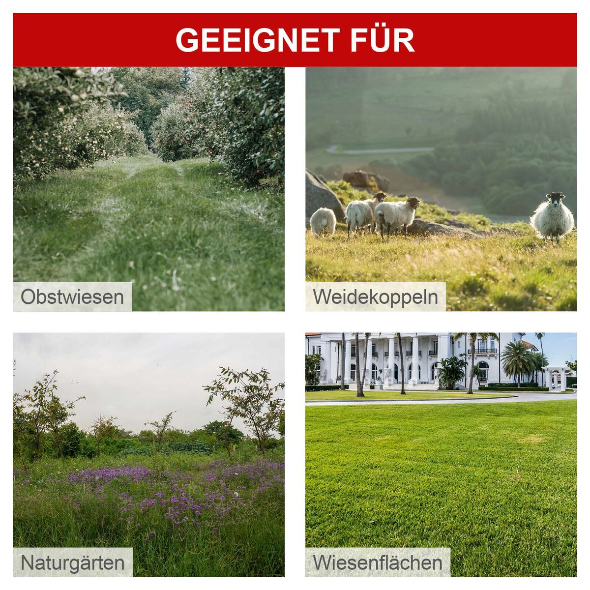 Natürliche Wiesenlandschaft mit typischen Obstwiesen und Weideflächen für Scheppach-Wiesenmäher