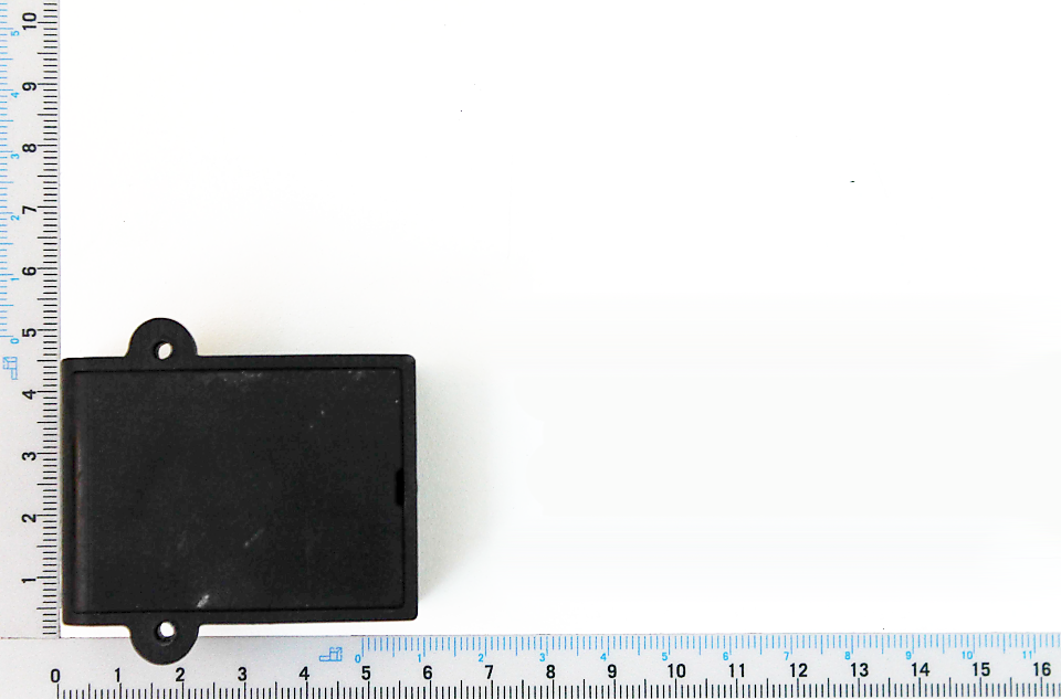 Schalterbox für Micro-Schalter, Ansicht von vorne, mit Befestigungslöchern oben und unten.