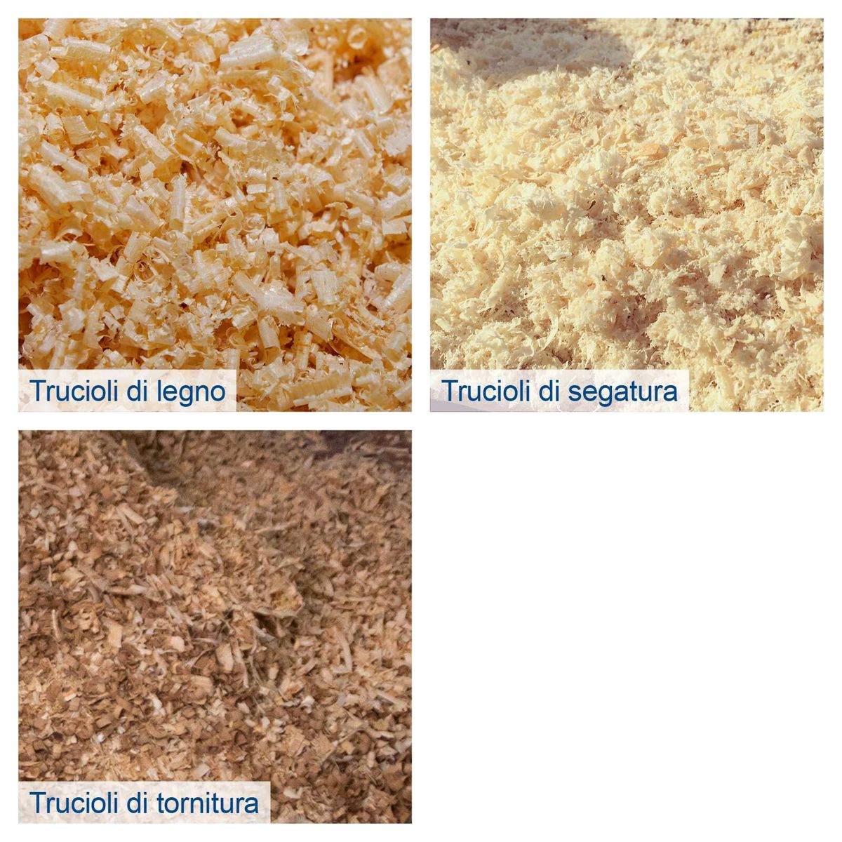 Das Bild zeigt verschiedene Arten von Holzspänen: Trucioli di legno (Holzspäne), Trucioli di segatura (Sägespäne) und Trucioli di tornitura (Drehspäne).