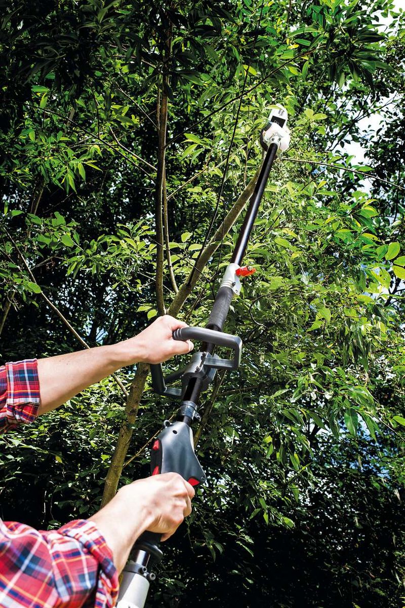 Person hält Scheppach-Hochentaster mit Heckenschere-Funktion für Gartenarbeit