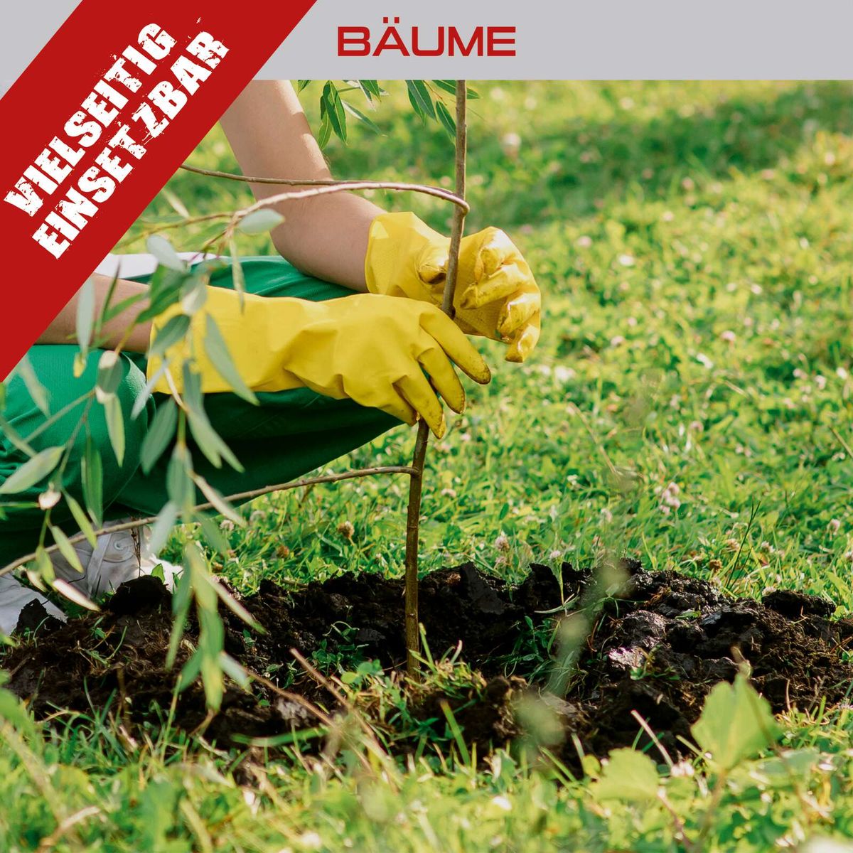 Person beim Pflanzen eines Baumes mit Erdbohrer nach Scheppach-Methode, Fokus auf Pflanztechnik und Wurzelverteilung
