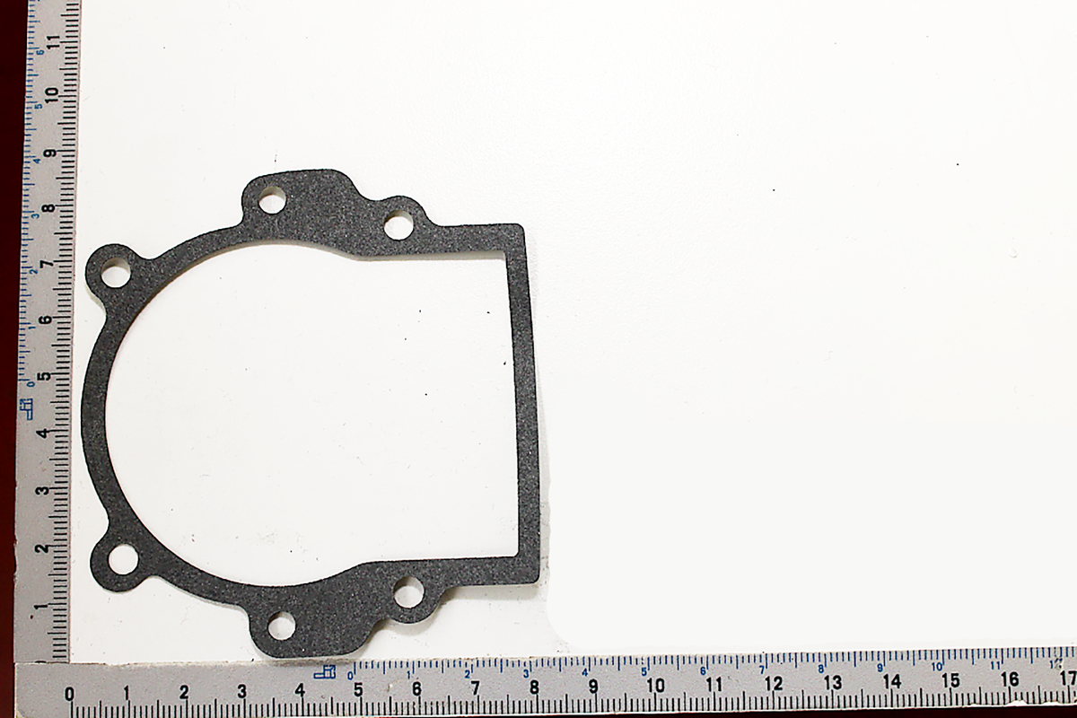 Kurbelwellengehäusedichtung neben einem Lineal zur Größenmessung. Die Dichtung wird von der Seite gezeigt.