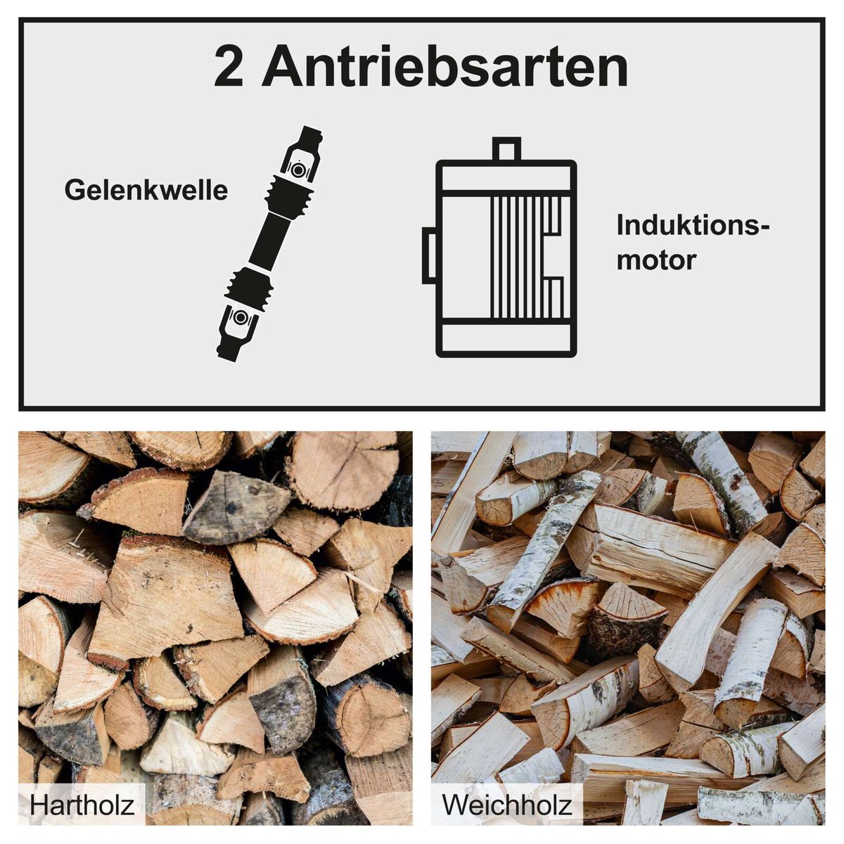 Zwei Antriebsarten für Holzspalter: Gelenkwelle und Induktionsmotor mit Illustrationen und Holzbeispielen für Hart- und Weichholz.