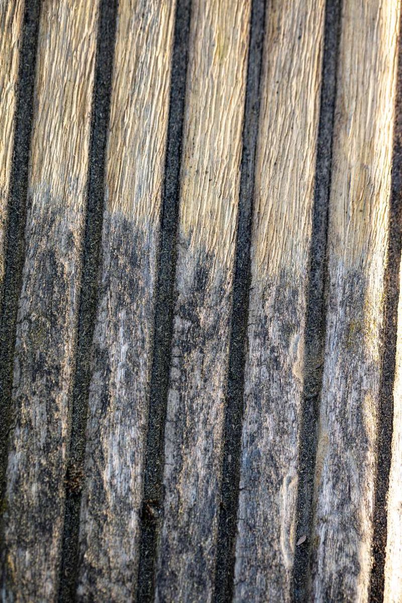 Metal wire brush with fine bristles, photographed from the side. Product for the Scheppach MRS1300 satin finishing machine.