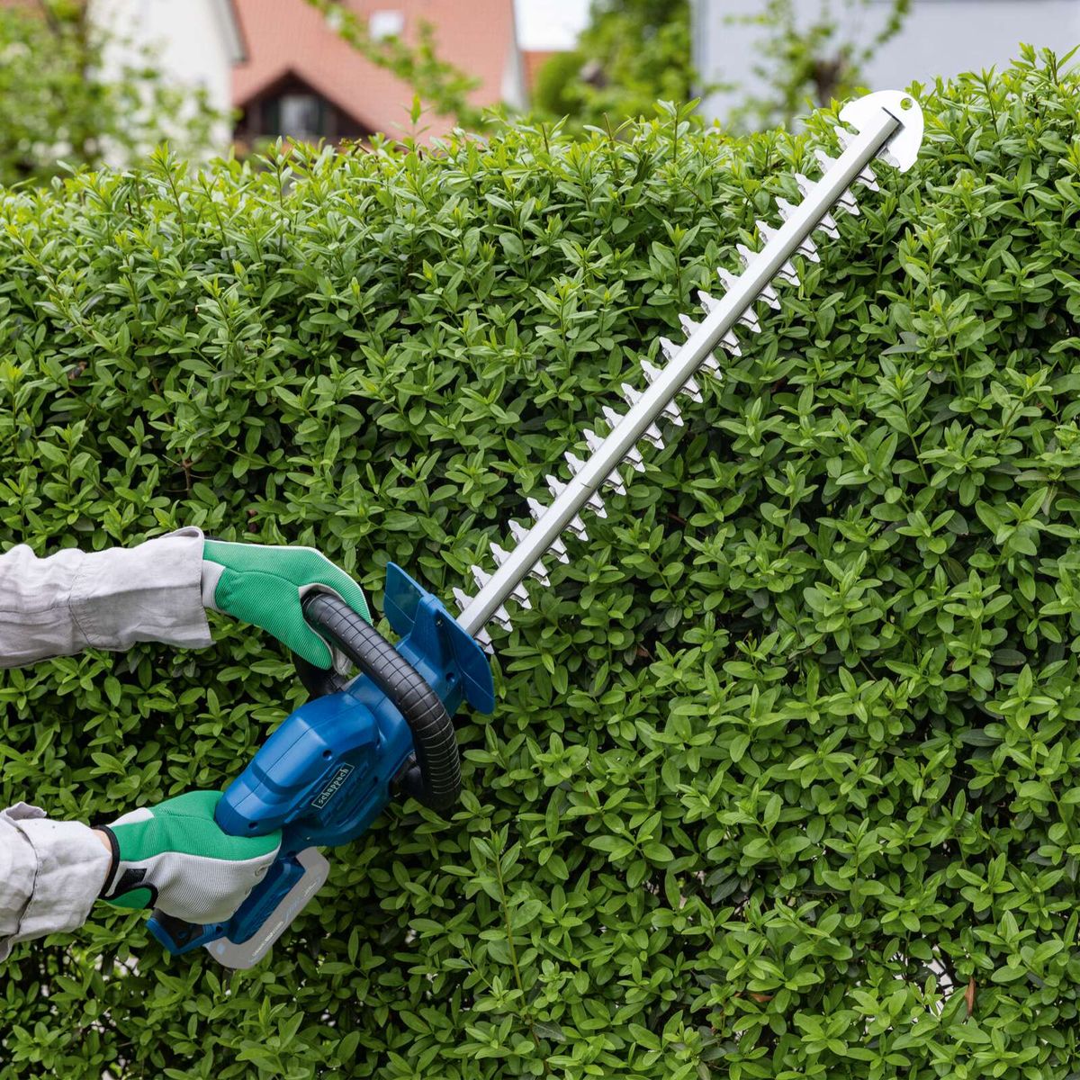 Person beim Schneiden mit Akku-Heckenschere, Fokus auf Handhabung und Einsatz im Heckenmanagement