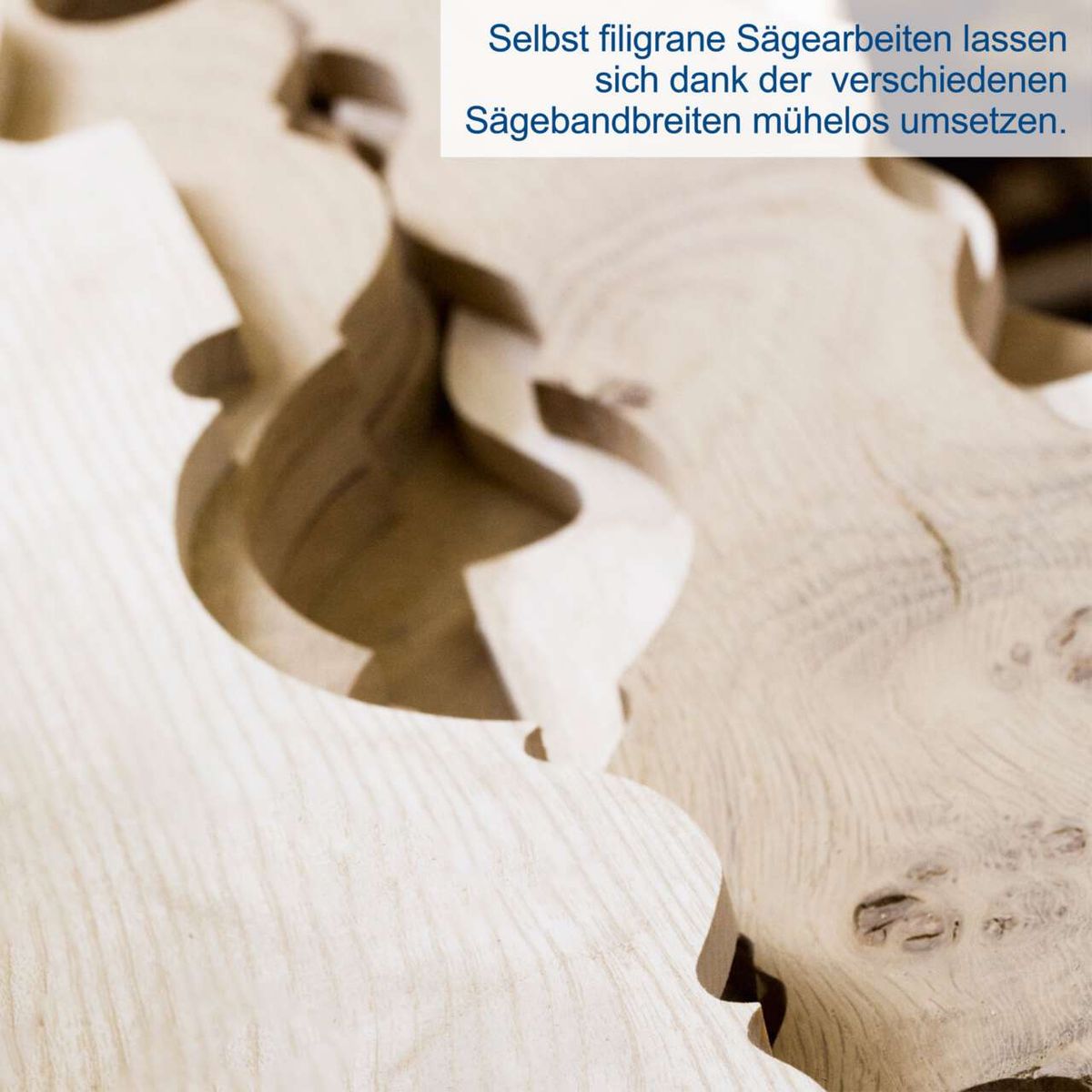 Bandsäge mit verschiedenen Sägebändern für präzise Schnitte, ideal für filigrane Arbeiten