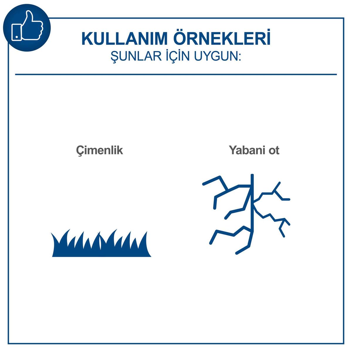 Illustration mit Symbolen für 'Grindwerkzeug' und 'Wildwuchs' als Hinweis auf Einsatzbereiche