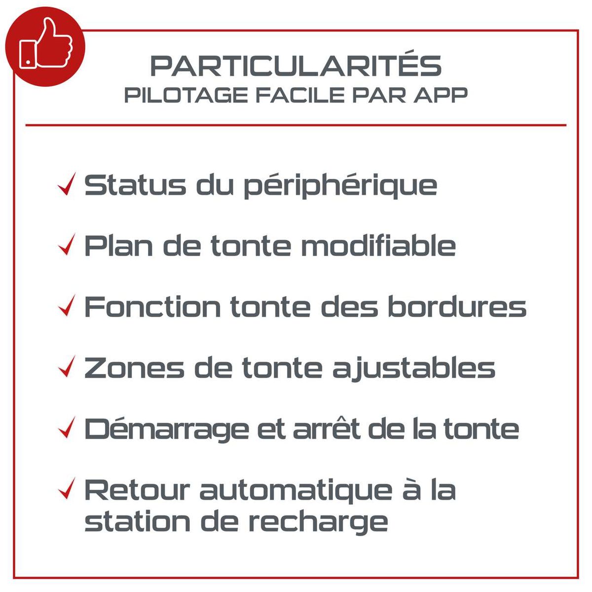 Seite, Text