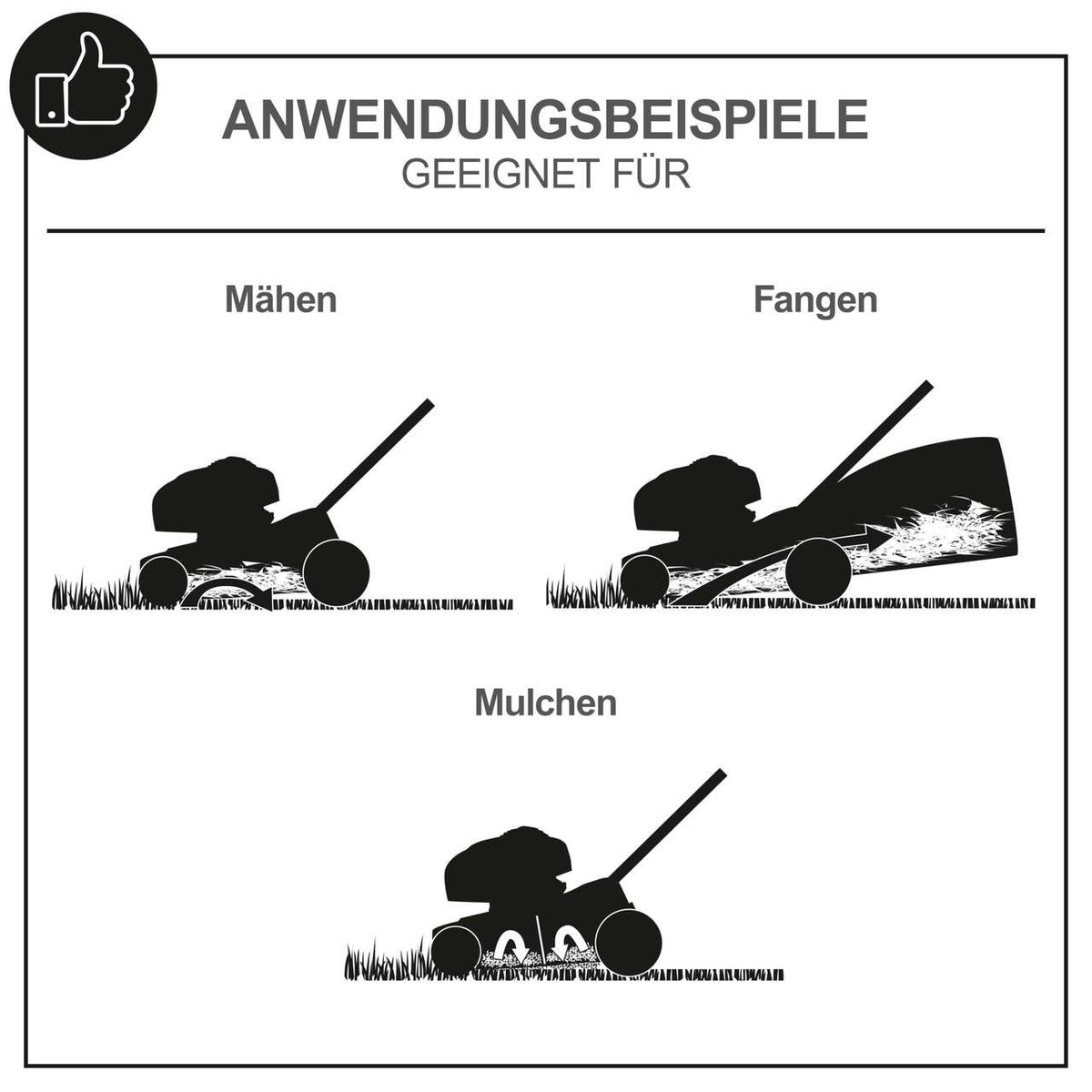 Der Benzin-Rasenmäher LM161-46S von Scheppach eignet sich zum Mähen, Fangen und Mulchen. Er ist vielseitig einsetzbar und bietet verschiedene Funktionen für die Rasenpflege.