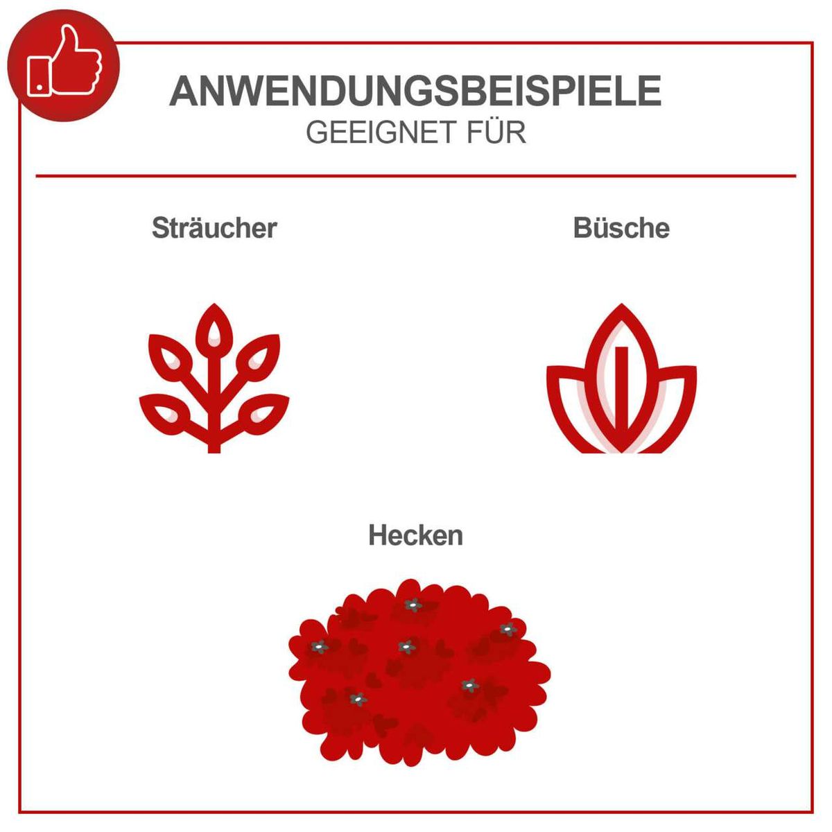 Anwendungsbeispiele für die Benzin-Heckenschere BHS650: Geeignet für Sträucher, Büsche und Hecken. Ideal für präzises Schneiden und Formen von Pflanzen.