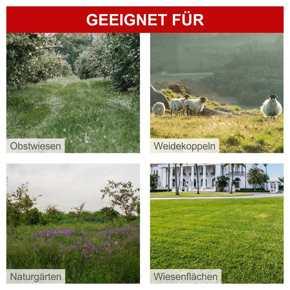 Bild mit Beschriftungen 'Obstwiesen', 'Weidekoppeln', 'Naturgärten', 'Wiesenflächen' für Wiesenmäher-Werkzeuge