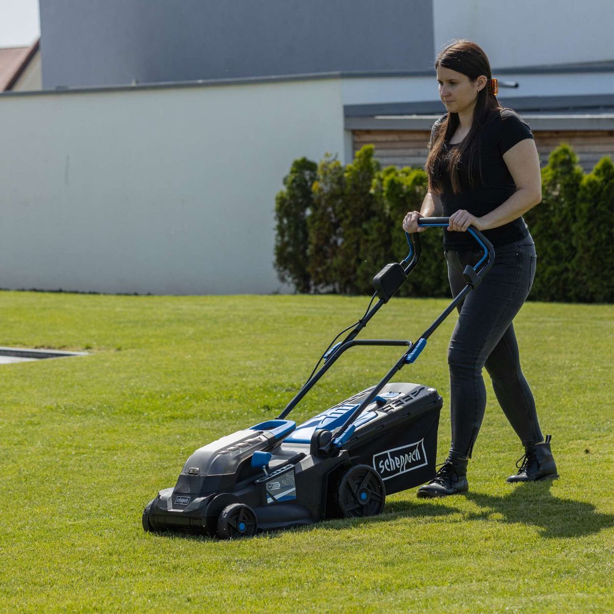 Scheppach Akku-Rasenmäher BC-MP380-X mit Akku und Korb, im Einsatz auf dem Rasen