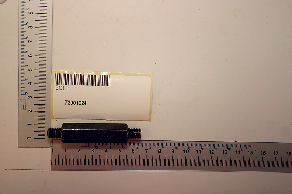 Stiftschraube 6kt. 13x67 von Scheppach, Artikelnummer 73001024, gezeigt von der Seite.