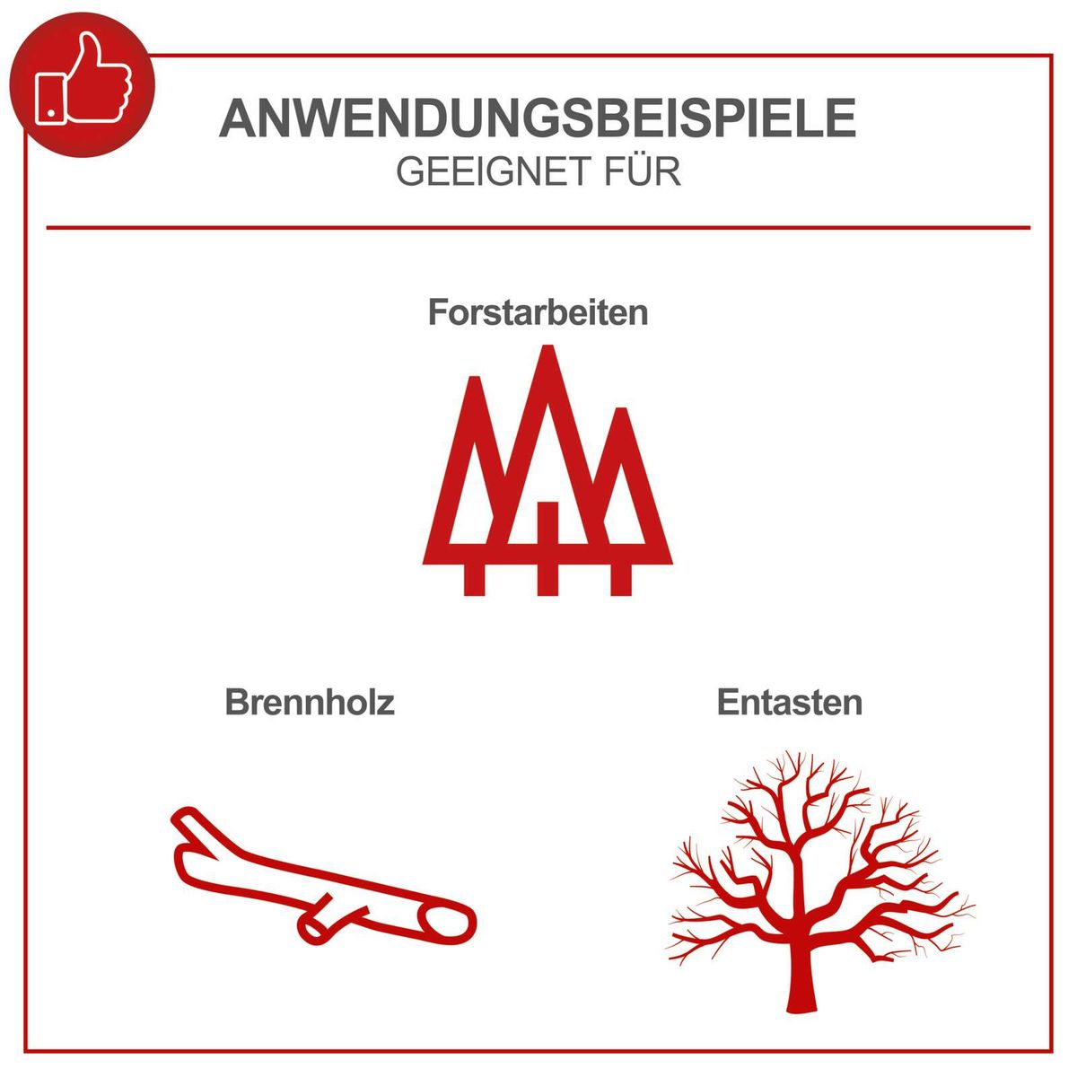 Forstarbeiten: Verarbeitung von Brennholz und Entasten von Bäumen mit Scheppach-Tools