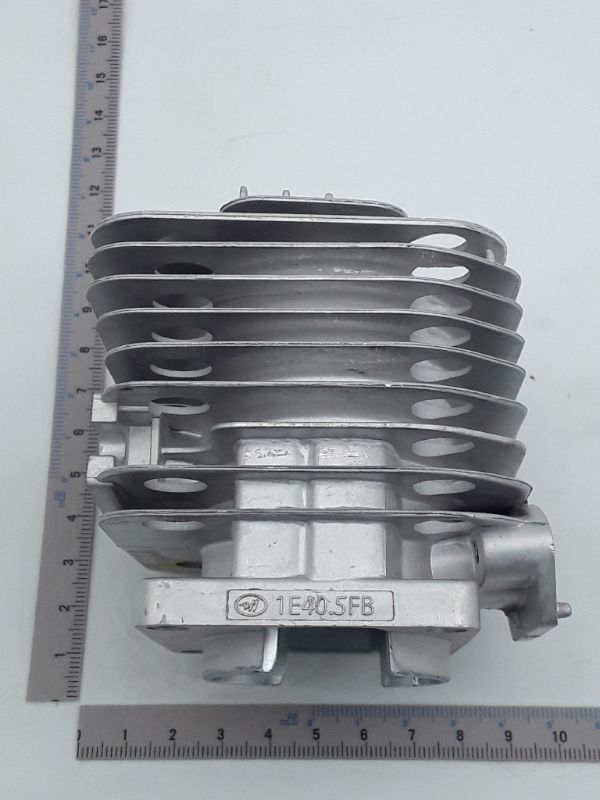 Scheppach-Zylinderkopf mit integriertem Ventilgehäuse, Teil eines Zylinderkopfs