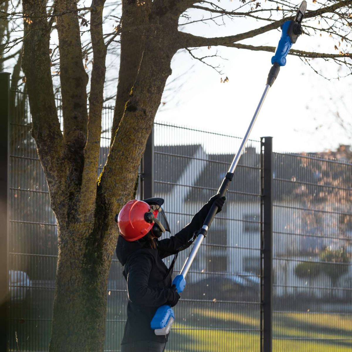 Arboristen mit Schutzausrüstung beim Arbeiten an einem Baum mit Scheppach-Multifunktionswerkzeug