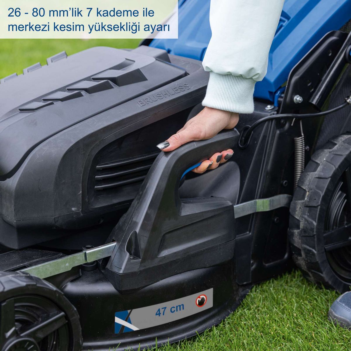 Gras, Rasen, Pflanze, Gerät