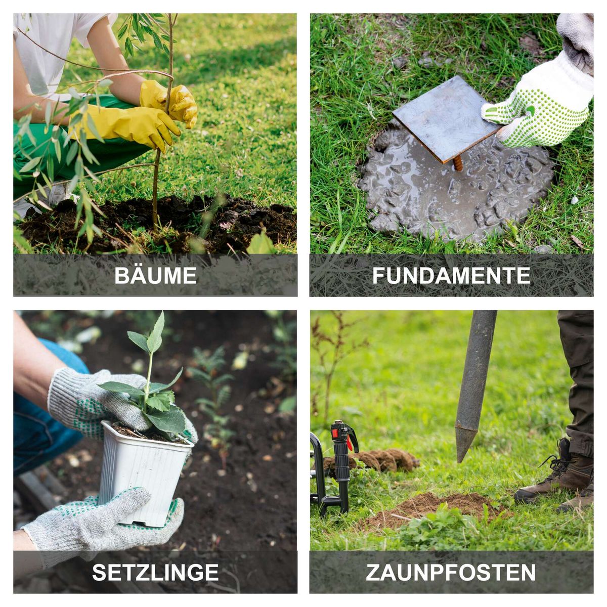 Bäume, Setzlinge und Fundamente für Gartenarbeit; Illustrationen zur Erdbohrung und Pflanzhilfe