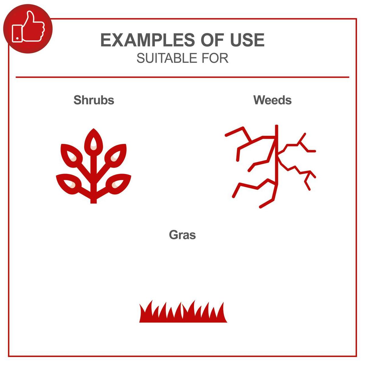 The petrol brushcutter BCH3300PB by Scheppach is suitable for various uses. It is ideal for shrubs, weeds, and grass. The illustration shows the different applications of the tool.