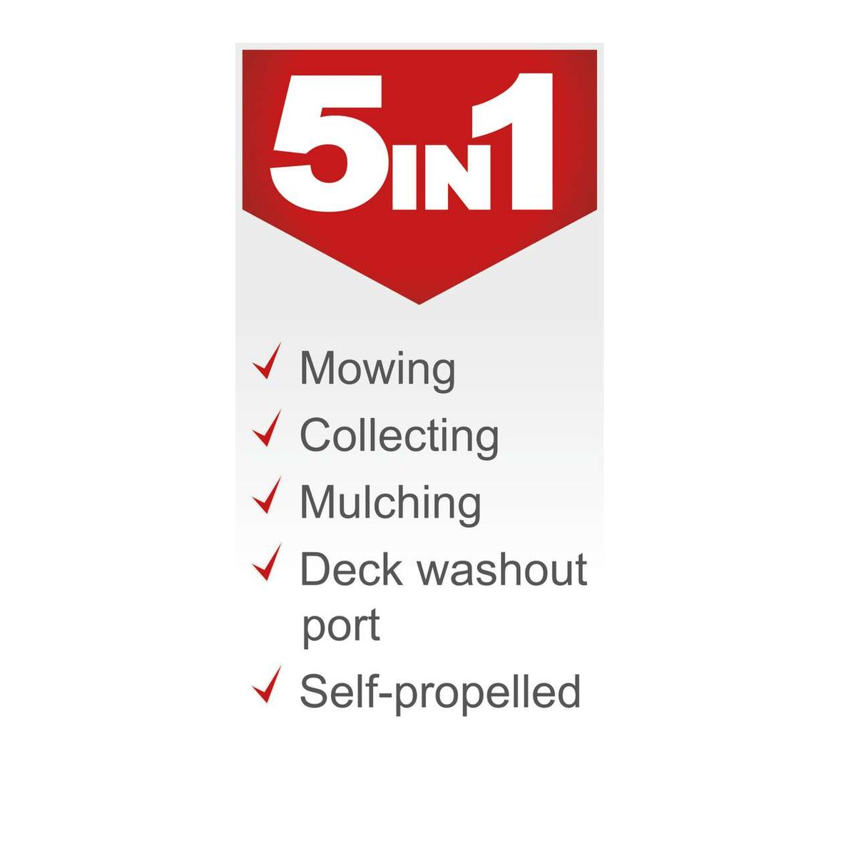 Self-propelled petrol lawn mower featuring mowing, collecting, mulching, washout port, and mulching function