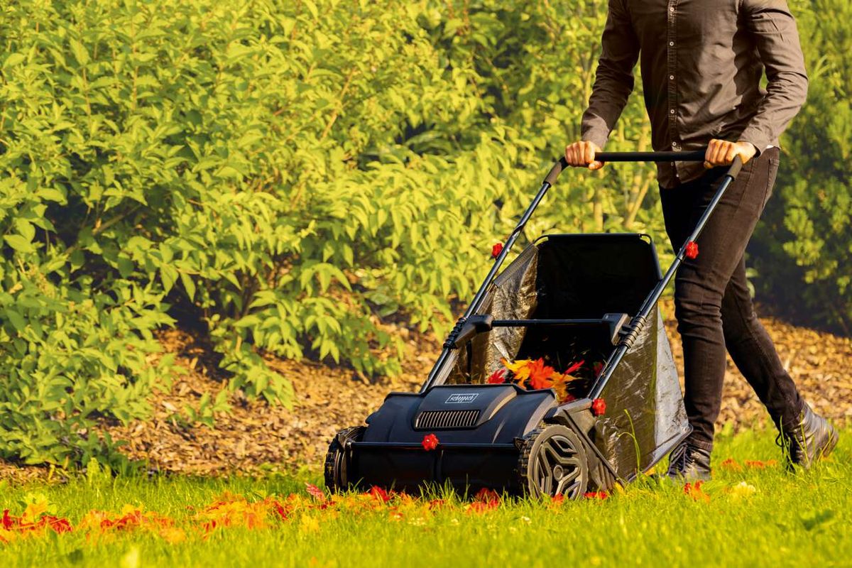 Ein Mann schiebt den Laubsammler und Rasensammler LSP-360 von Scheppach über eine Wiese. Das Gerät sammelt Blätter und Rasenschnitt ein.
