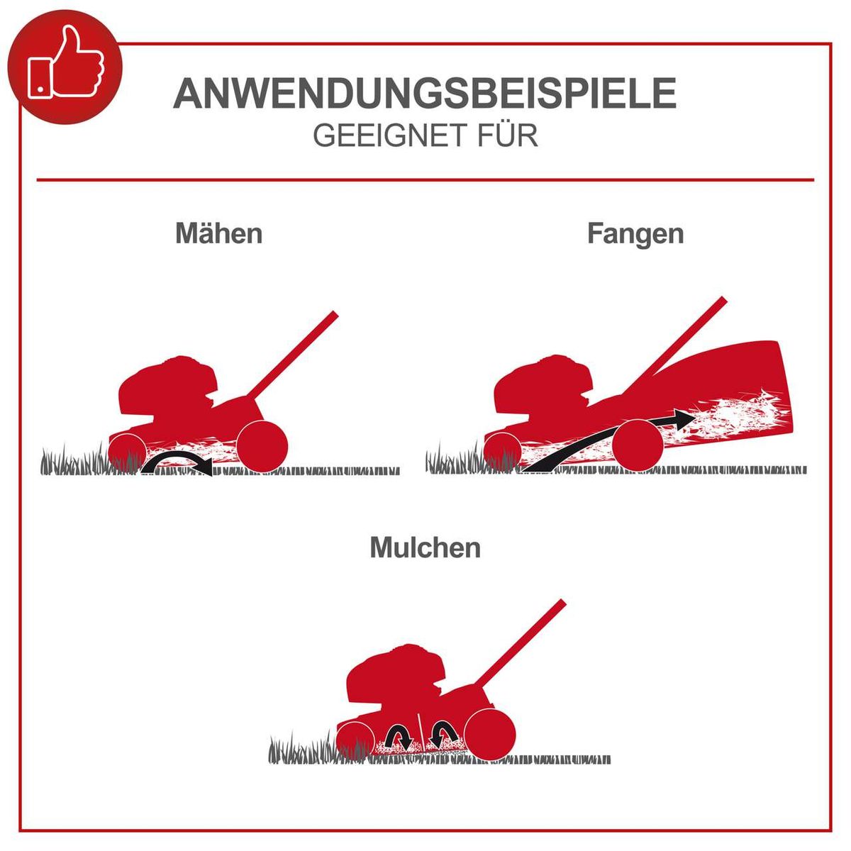 Der Benzin Rasenmäher MP150-46 Scheppach kann zum Mähen, Fangen und Mulchen verwendet werden. Er verfügt über eine Schnittbreite von 46 cm und eine 7-Stufen Höhenverstellung.