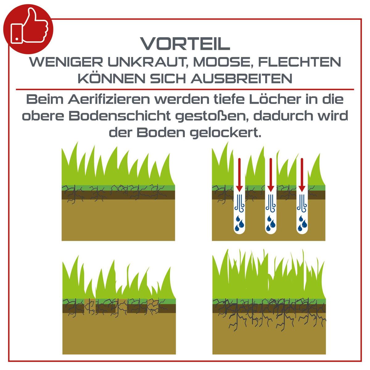 Illustration zur Wirkung des Aerifizierens: Verringerung von Unkraut und Moos durch Belüftung des Rasens durch tiefe Löcher im Boden.