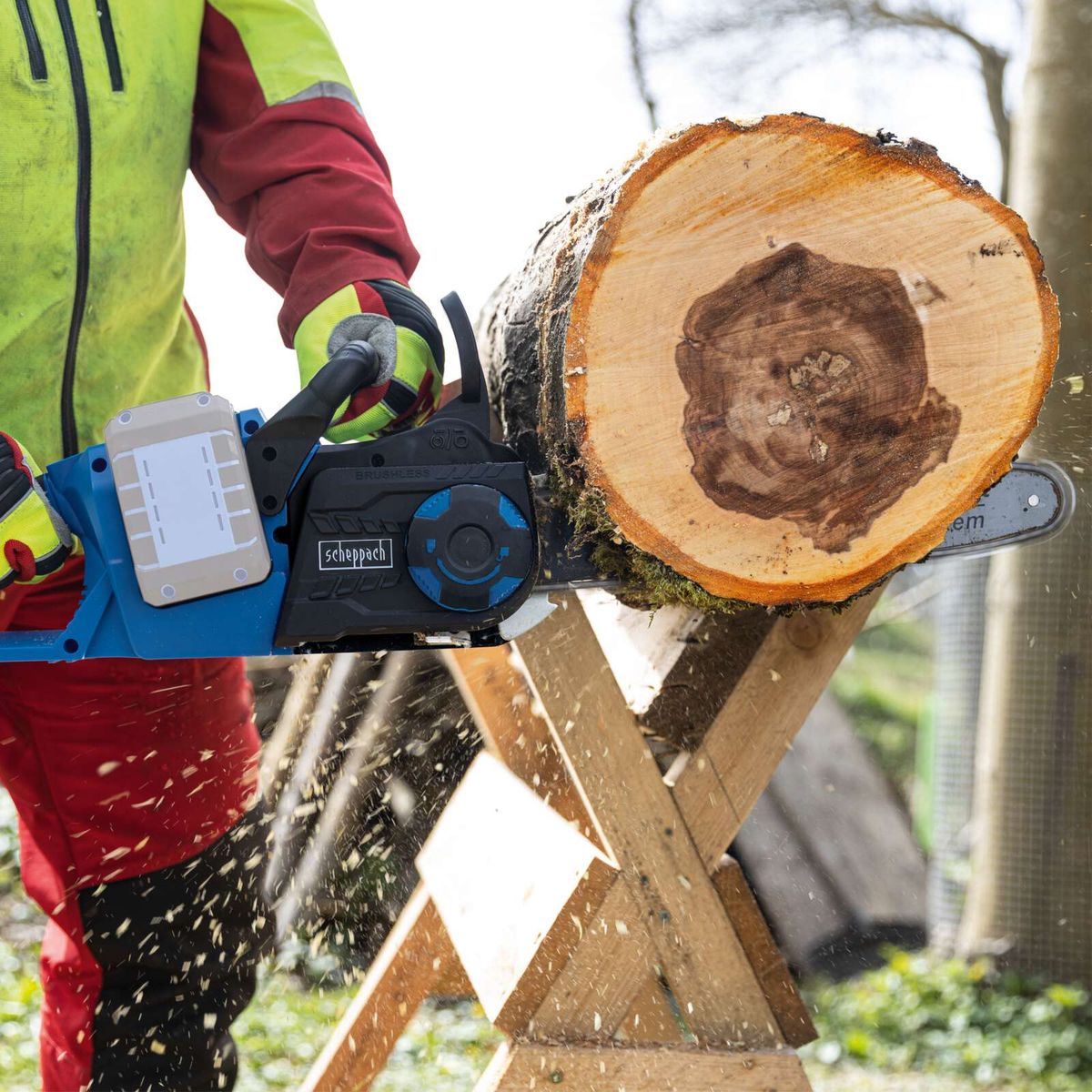 Scheppach-Maschinenschnitt mit rotem Handschuh und Arbeitskleidung, Detail einer Holzscheibe