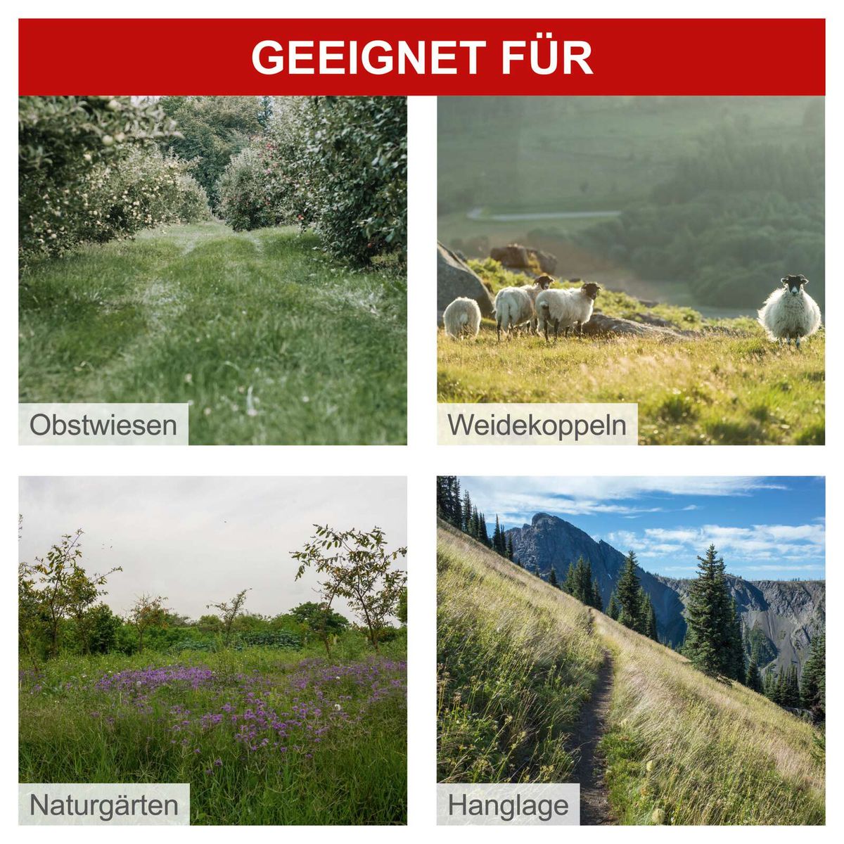 Bild zeigt typische Landschaftsbereiche für Scheppach-Balkenmäher: Obstwiesen, Weidekoppeln, Naturgärten und Hanglagen.