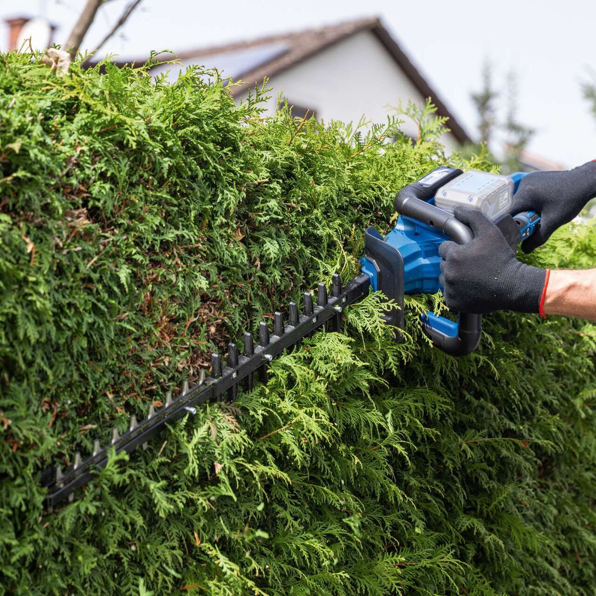 Scheppach Akku-Heckenschere BC-HT720-X im Einsatz beim Beschneiden von Hecken mit präziser Schnittleistung.