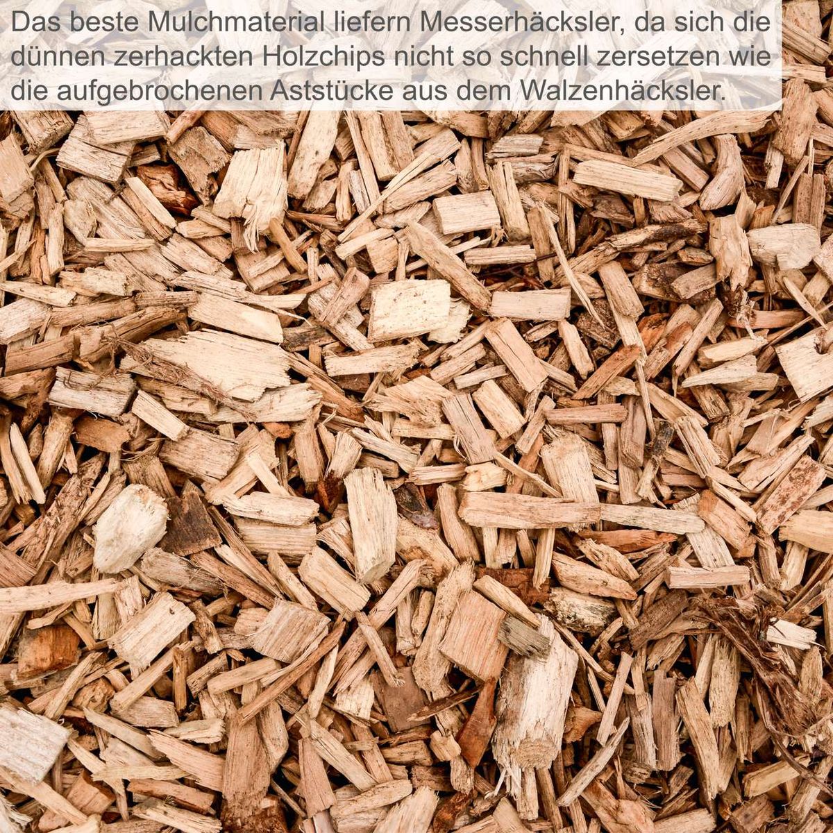 Das beste Mulchmaterial liefern Messerhäcksler, da sich die dünnen zerhackten Holzchips nicht so schnell zersetzen wie die aufgebrochenen Aststücke aus dem Walzenhäcksler.