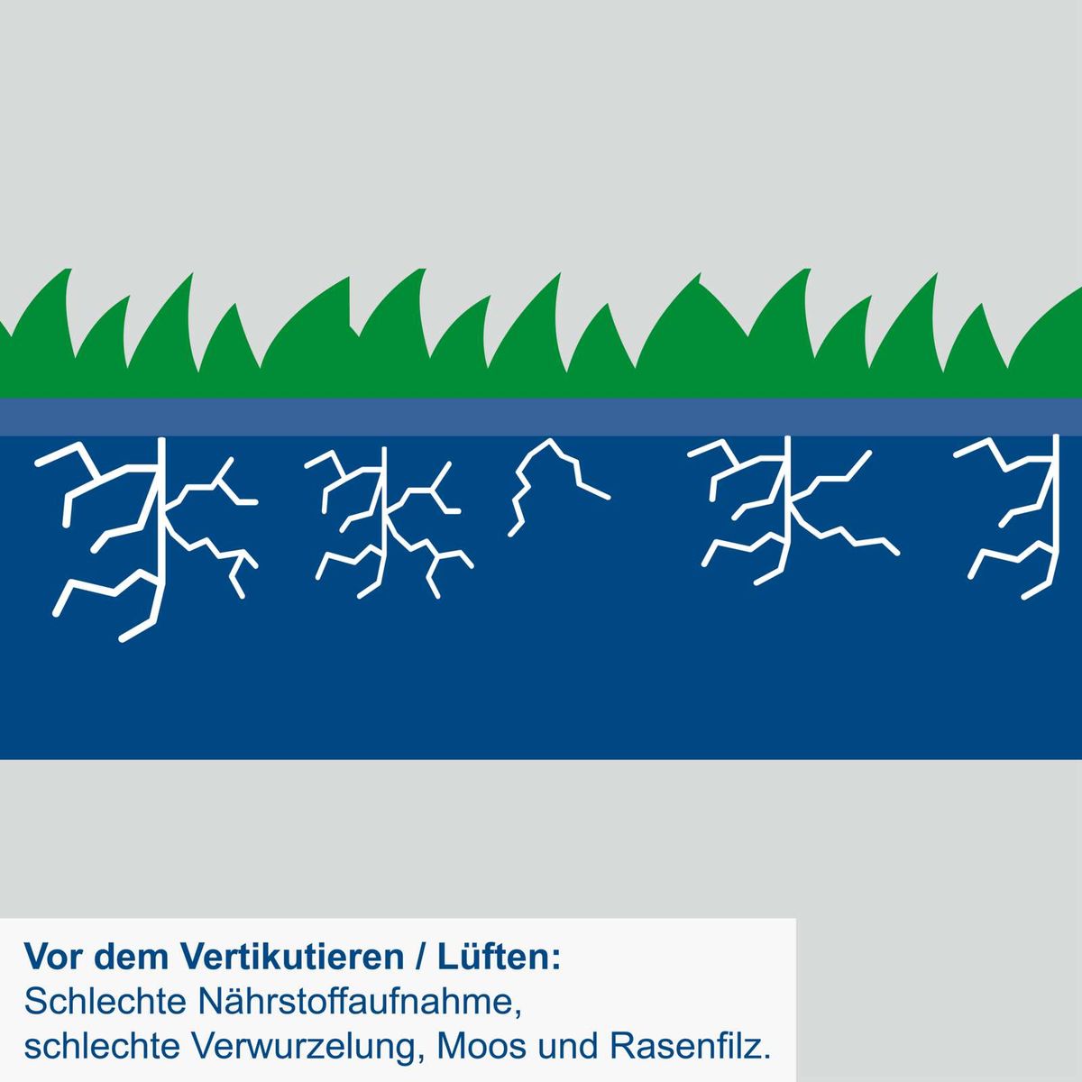 Wichtige Hinweise zur Vorbereitung auf Vertikutieren/Lüften: Schlechte Nährstoffaufnahme, Verwurzelung und Moos/Rasenfilz