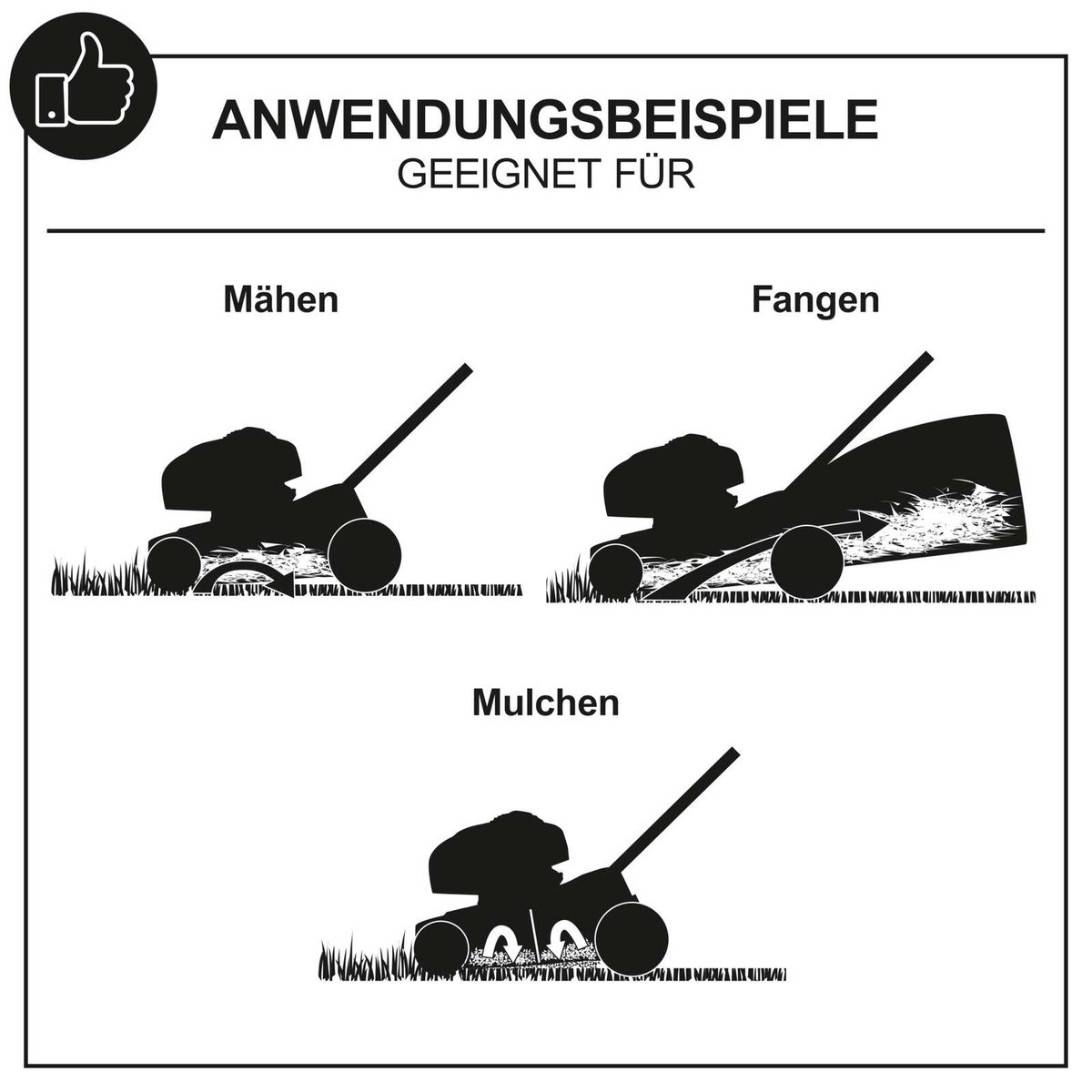 Der Benzin Rasenmäher PLM530-225E von Scheppach eignet sich zum Mähen, Fangen und Mulchen. Er hat eine Schnittbreite von 53 cm, einen Radantrieb und einen 65 Liter Fangkorb. Der E-Start ermöglicht ein einfaches Starten des Motors.