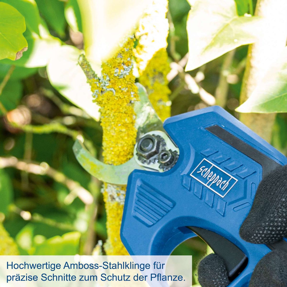 Präzise Akku-Astschere mit Amboss-Stahlklinge für präzise Schnitte, inklusive Handschutz und automatischer Abschaltung.
