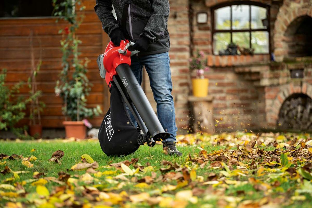 Gras, Pflanze, Rasen, Gerät