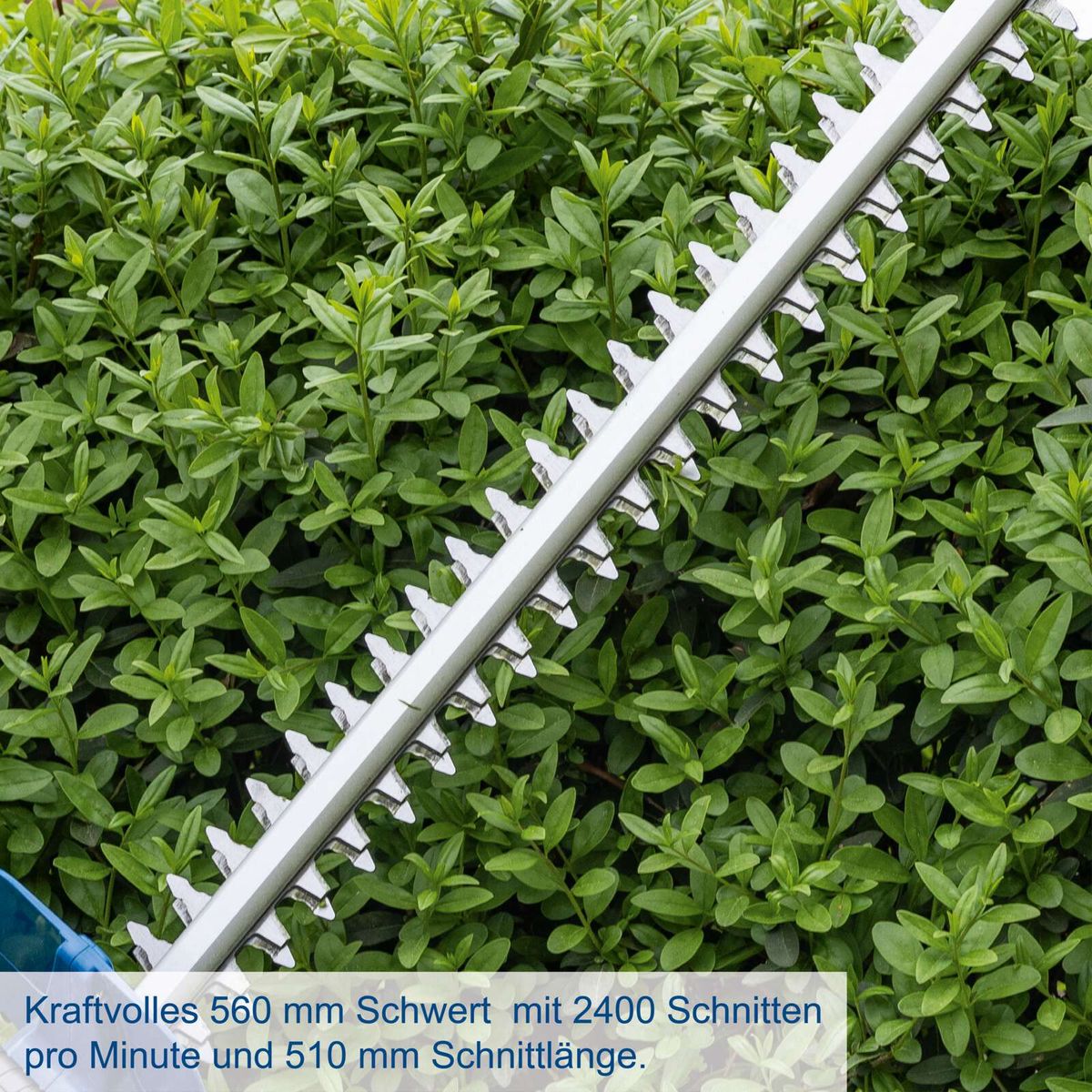 Scheppach Akku-Heckenschere mit 560 mm Schwert und 2400 Schnitte pro Minute bei 510 mm Schnittlänge