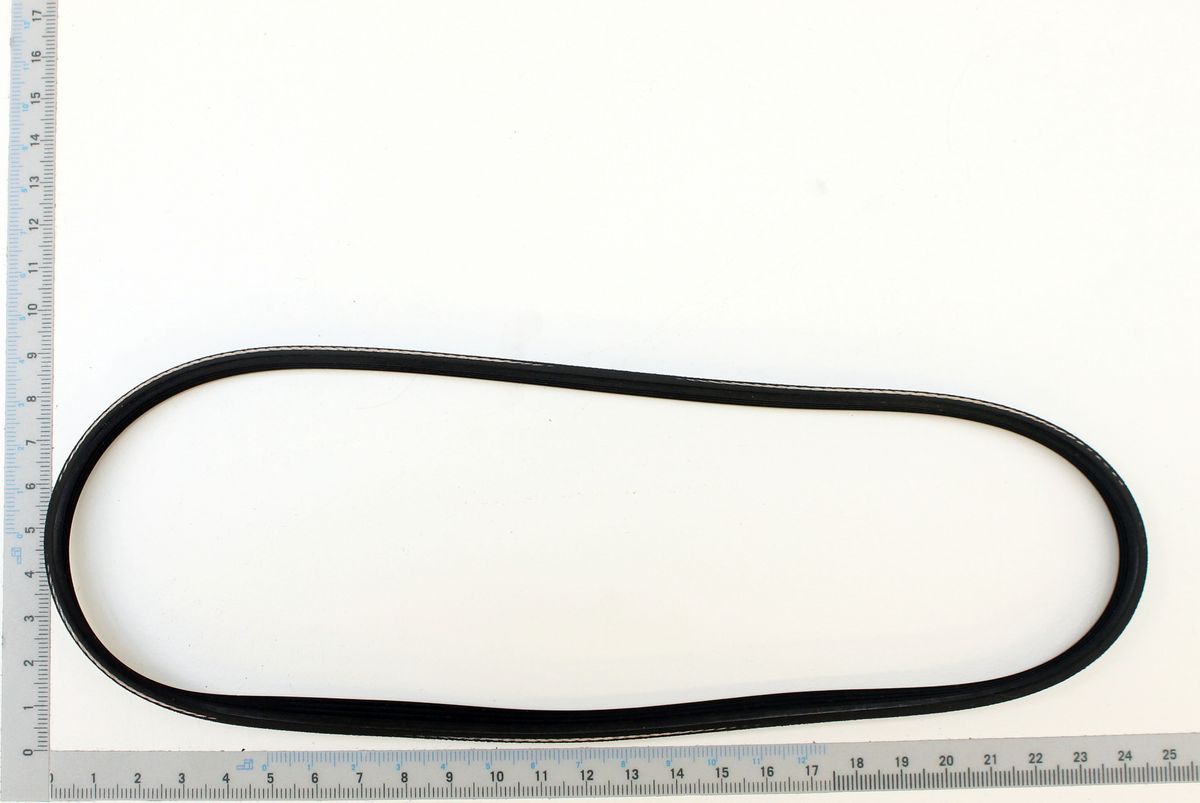 Rippenband (Skala) für Scheppach-Produkt PJ – 559