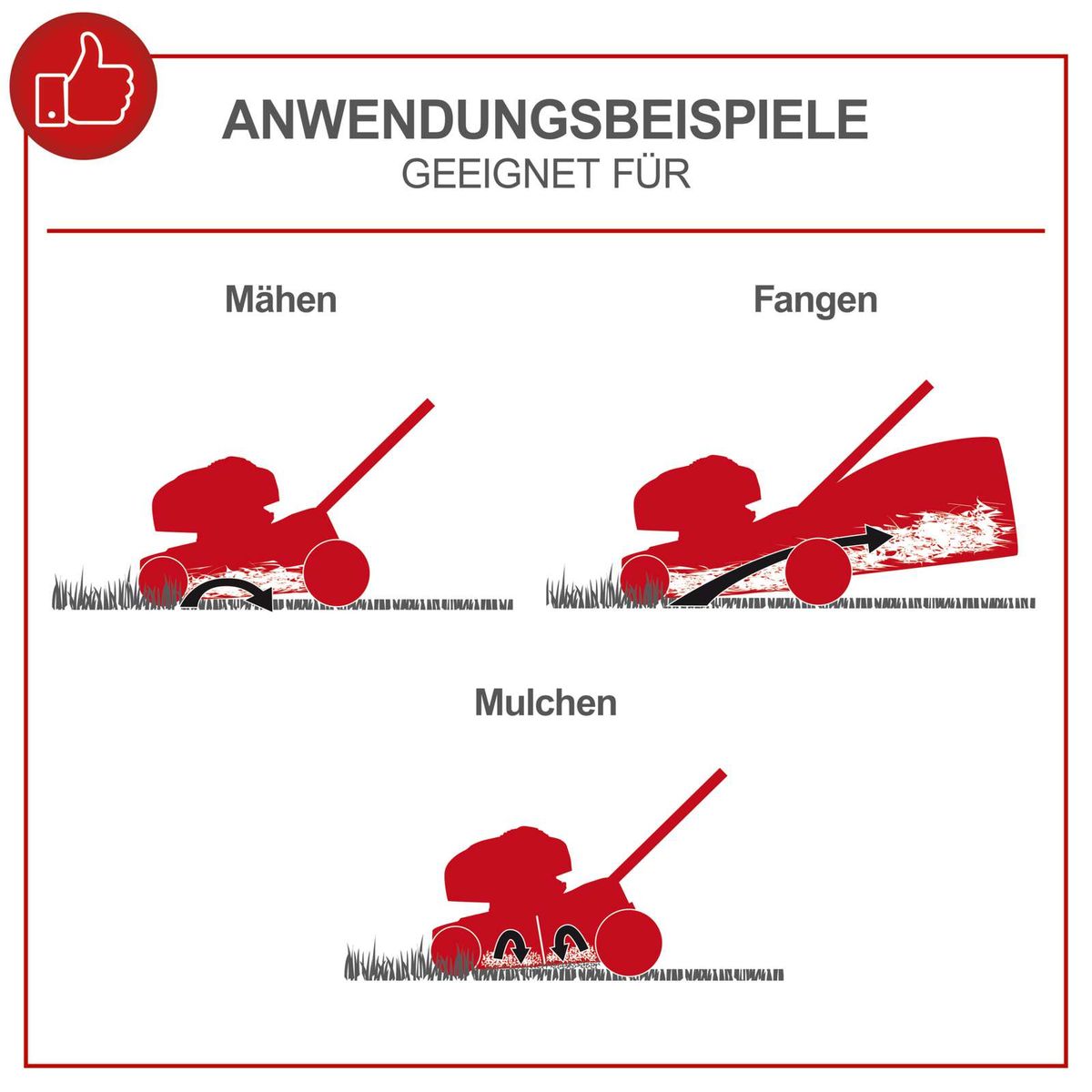 Illustration von Anwendungsbeispielen für Scheppach-Mulchen, Mähen und Fangen mit dem Rasenmäher