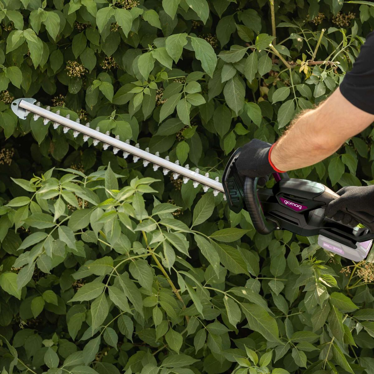 Die Akku-Heckenschere GO-HES570 gomag von Scheppach hat eine 57 cm lange Messerlänge und eine Messeröffnung von 30 mm. Sie verfügt über einen ergonomischen Griff und eine schnelle Wechselmöglichkeit des Messers.