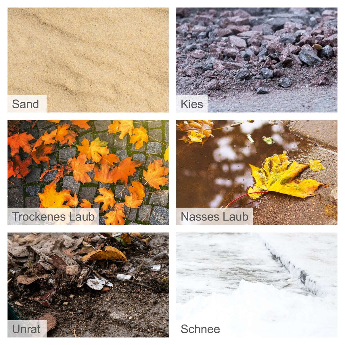 Blatt, Pflanze, Baum, Straße, Boden